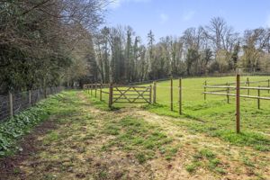 Field- click for photo gallery